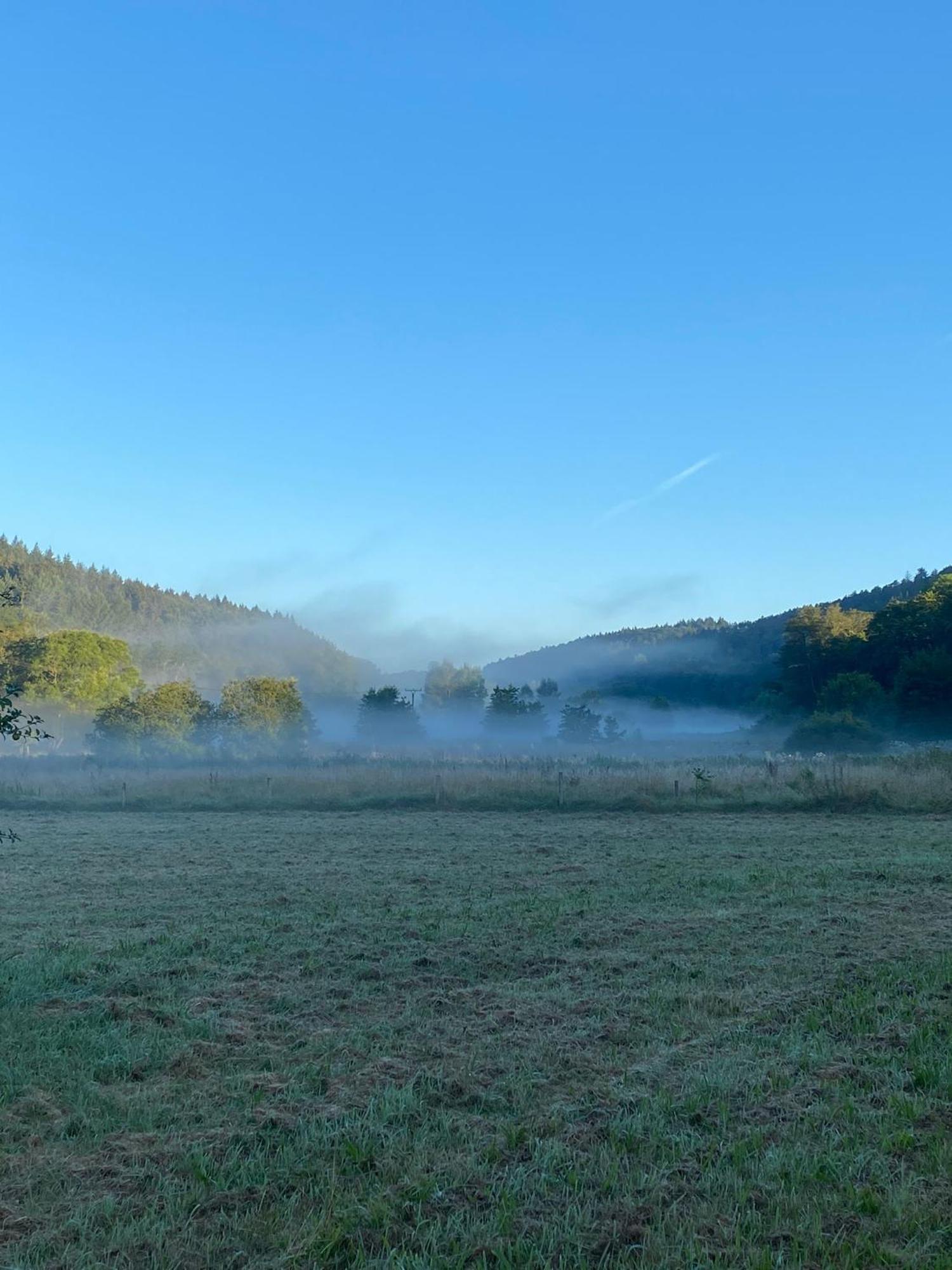 Ferienhaus Vulkaneifel Abtei Himmerod Großlittgen Buitenkant foto