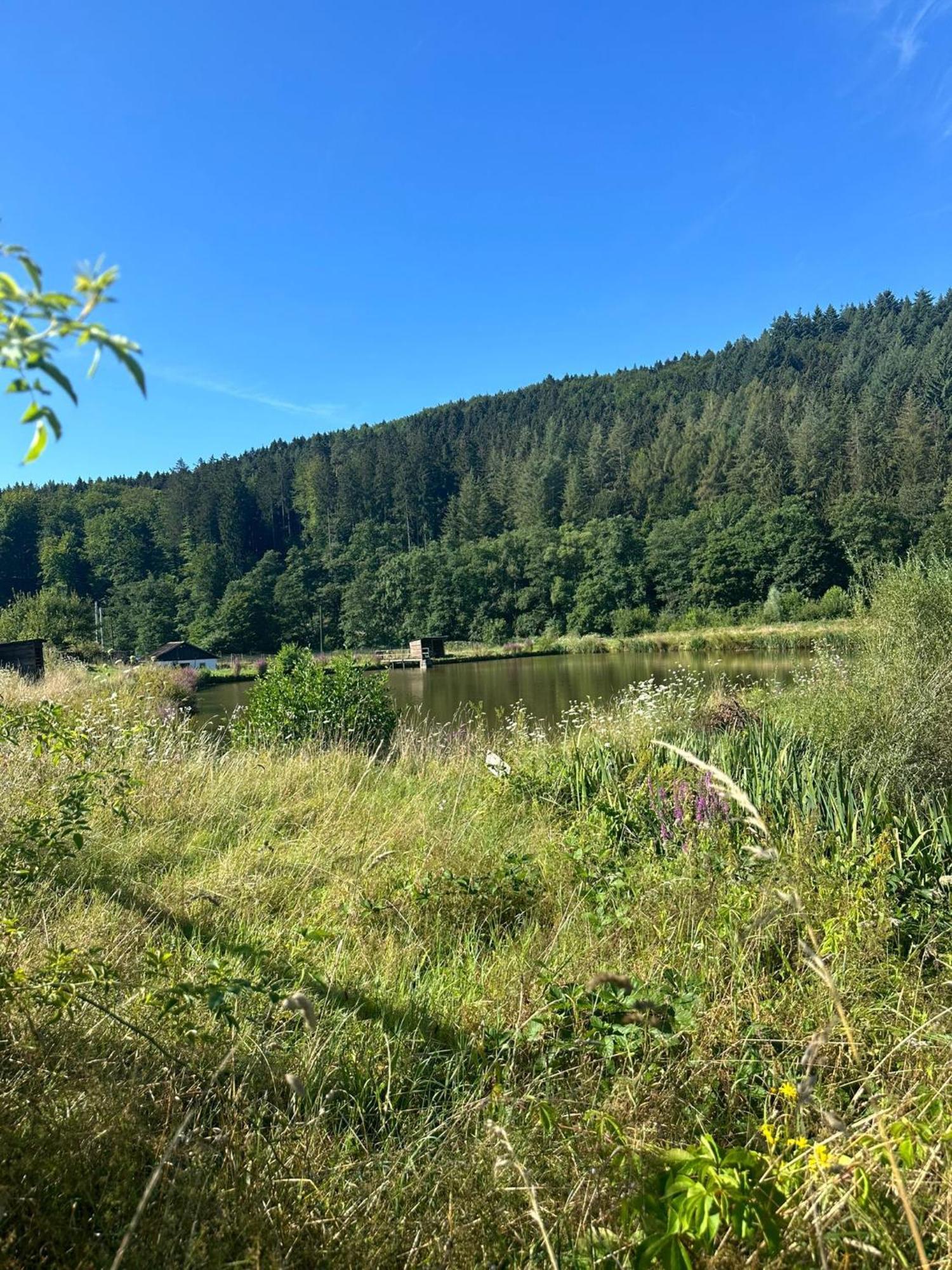 Ferienhaus Vulkaneifel Abtei Himmerod Großlittgen Buitenkant foto