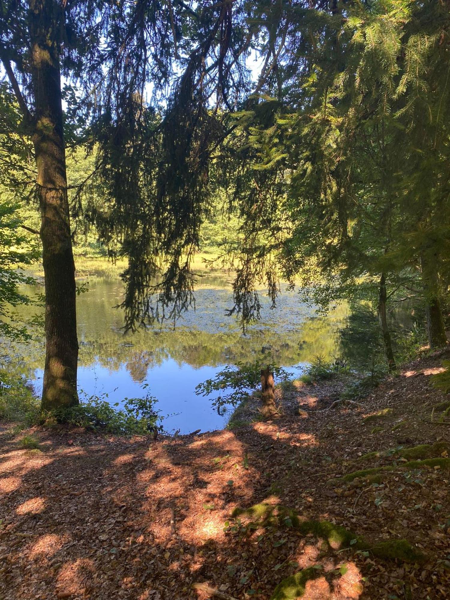 Ferienhaus Vulkaneifel Abtei Himmerod Großlittgen Buitenkant foto