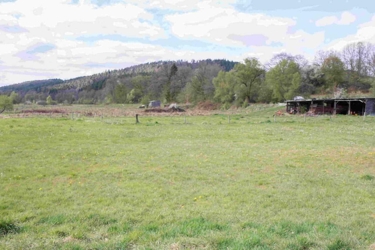 Ferienhaus Vulkaneifel Abtei Himmerod Großlittgen Buitenkant foto