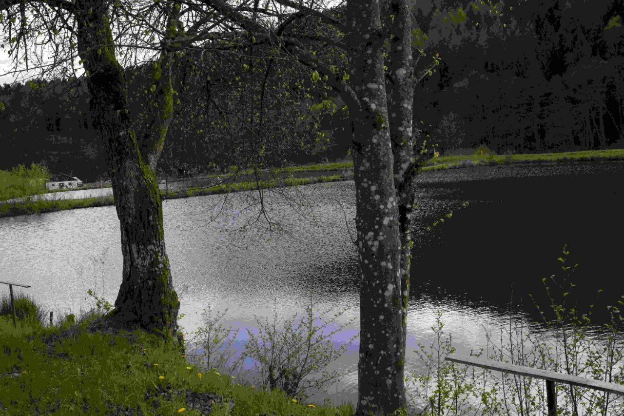 Ferienhaus Vulkaneifel Abtei Himmerod Großlittgen Buitenkant foto
