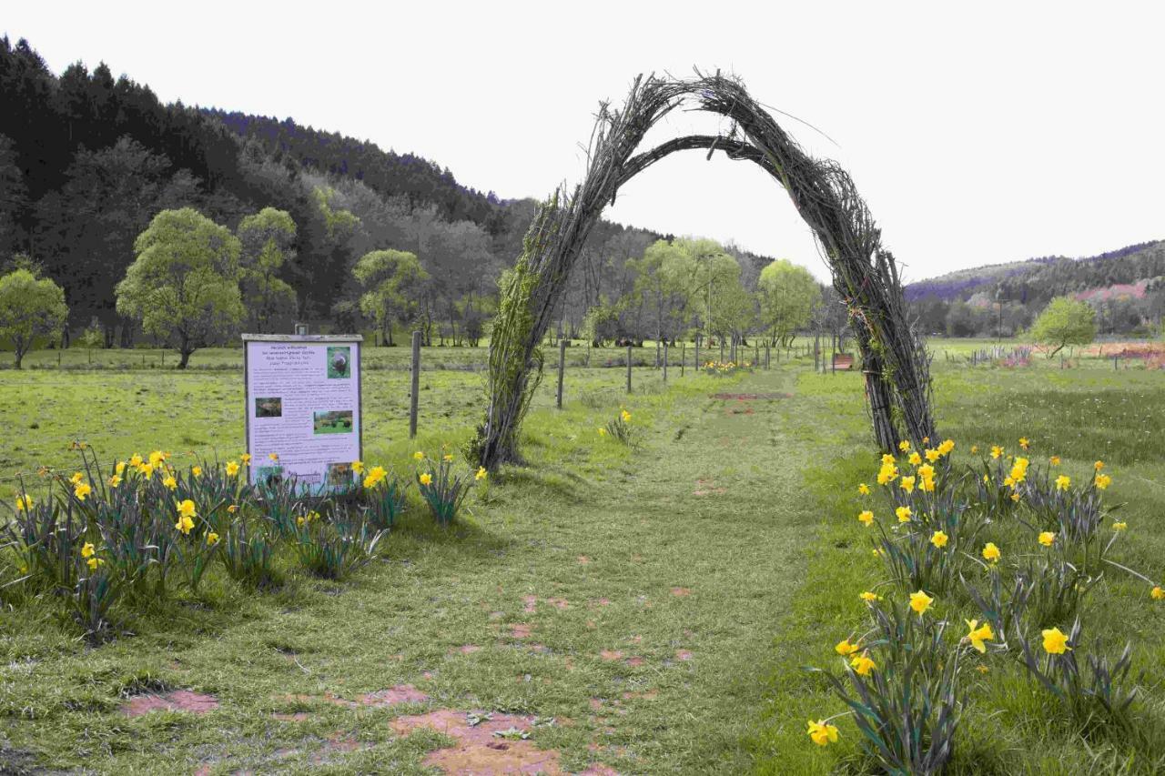 Ferienhaus Vulkaneifel Abtei Himmerod Großlittgen Buitenkant foto